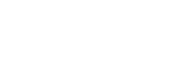 Roman Electric logo